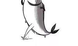 咸鱼之王中秋爆料最新,揭秘神秘爆料，福利盛宴即将开启！